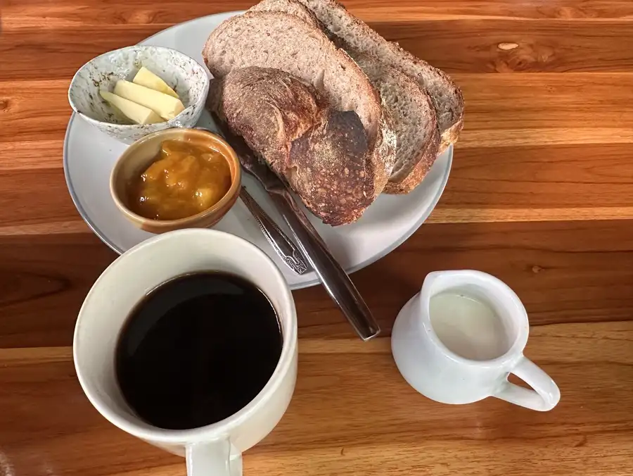 Relaxed jungle cafe atmosphere